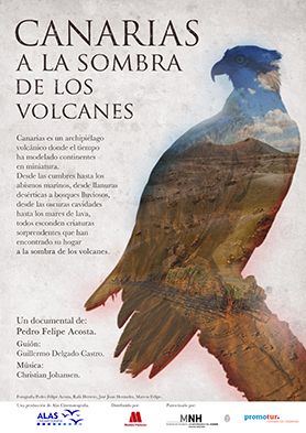 Cineforum Canarias a la sombra de los volcanes Langaia 2014